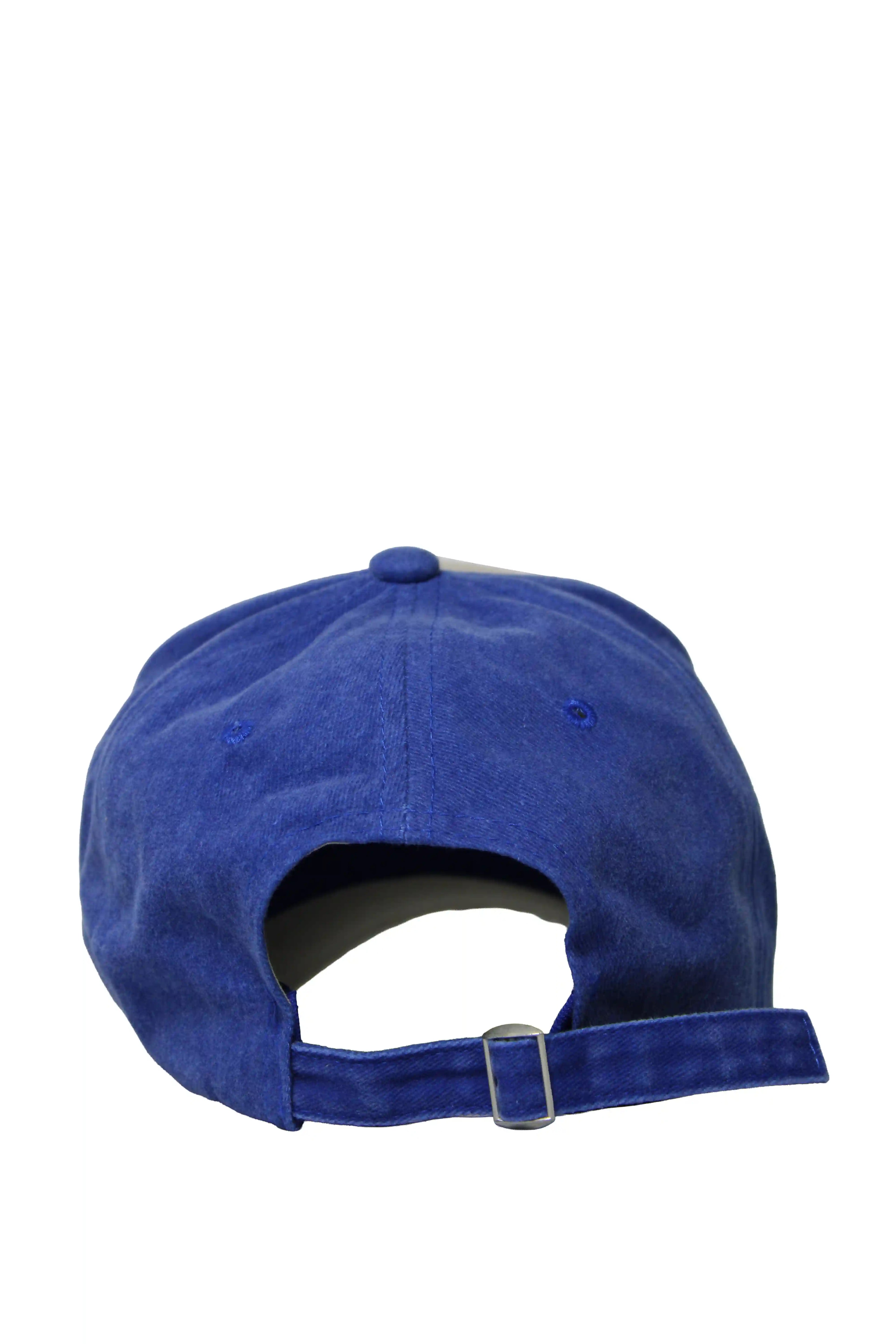 Stormers 3D Distressed Royal Cap