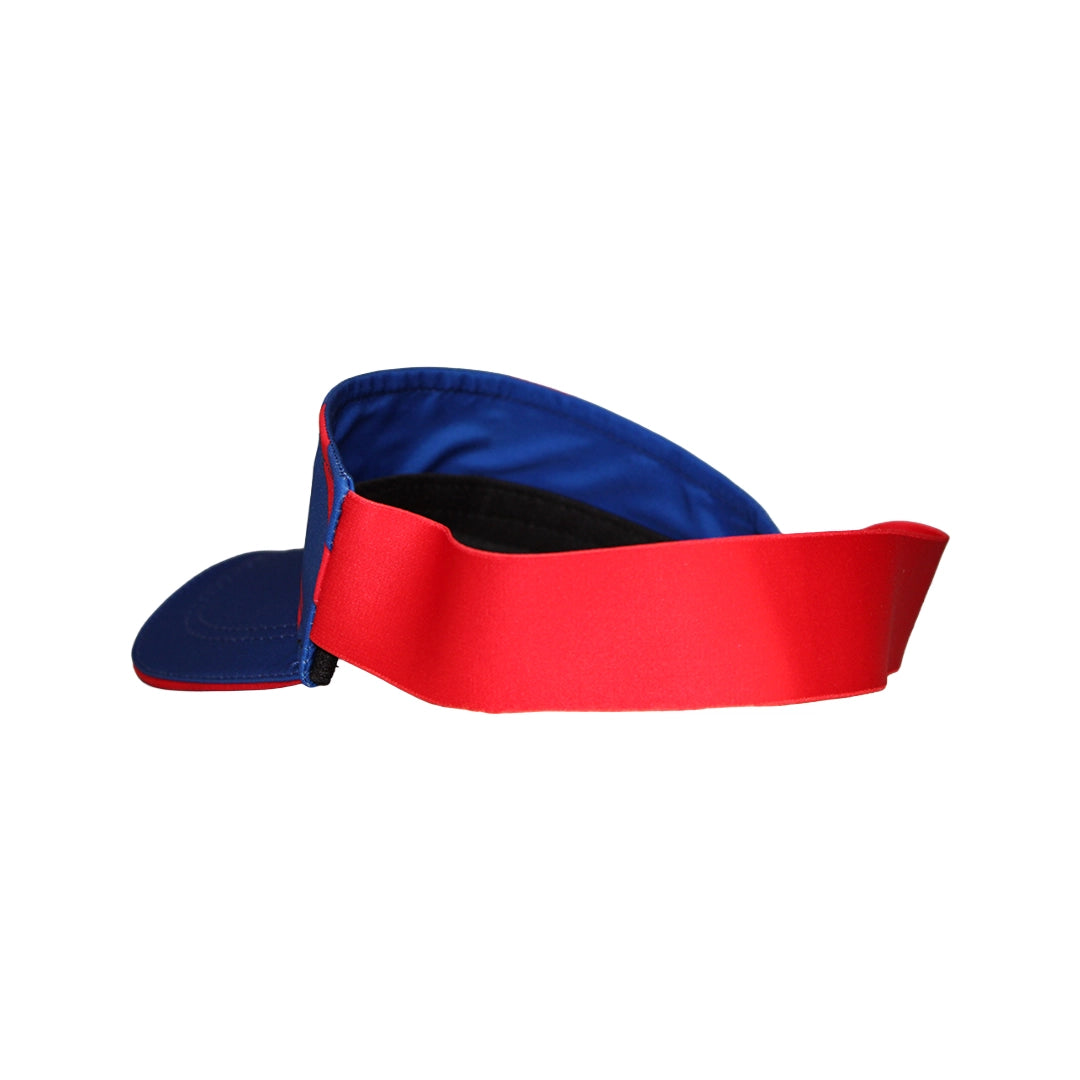 Stormers Visor back