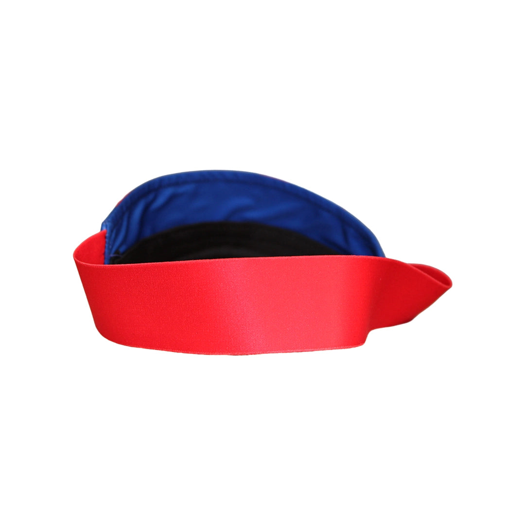 Stormers Visor Cap back